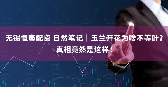 无锡恒鑫配资 自然笔记｜玉兰开花为啥不等叶？真相竟然是这样！